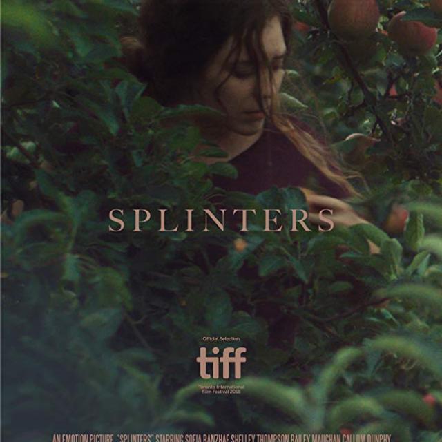 QueereEvents.ca - film - Splinters