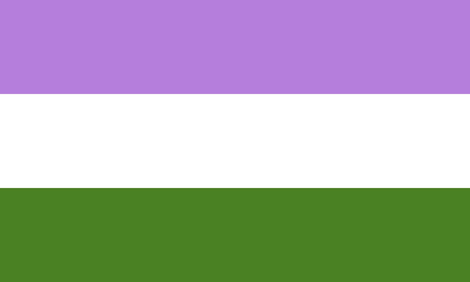 QueerEvents.ca - Queer Flags - Genderqueer Flag Image