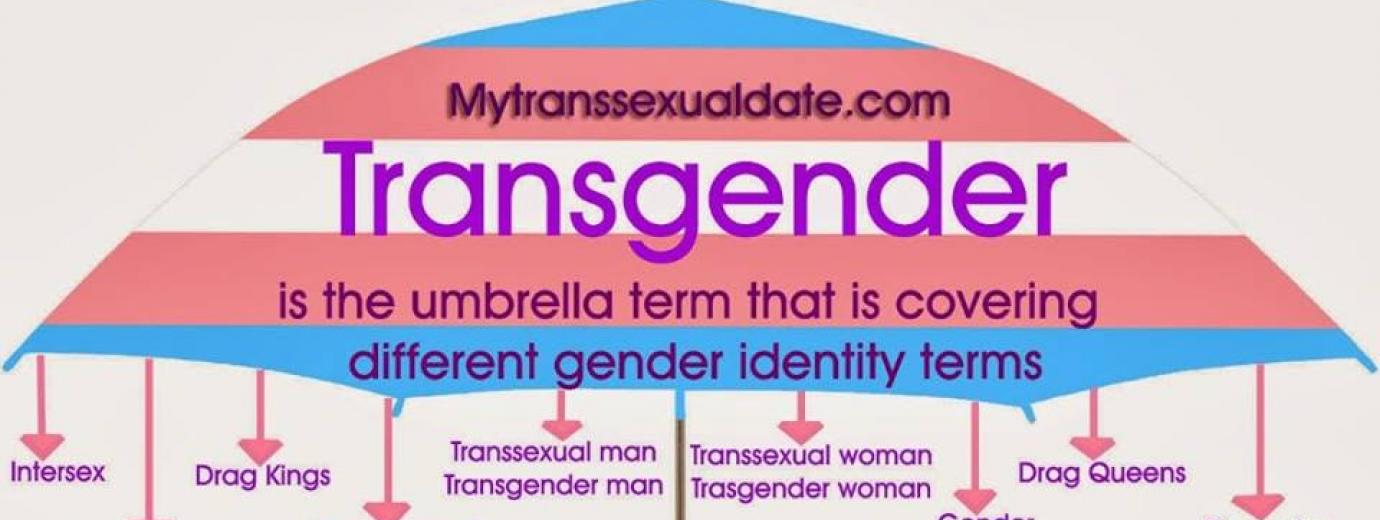 QueerEvents.ca - hamilton pride event banner - trans inclusion