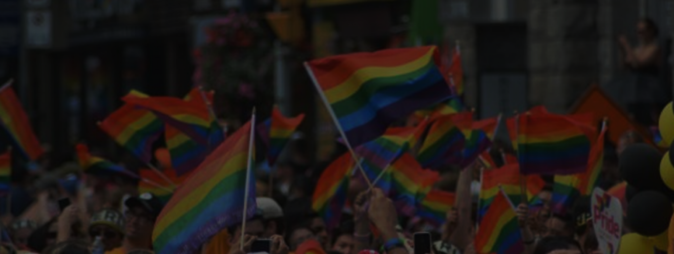 QueerEvents.ca - History of Pride Flag - Post Banner