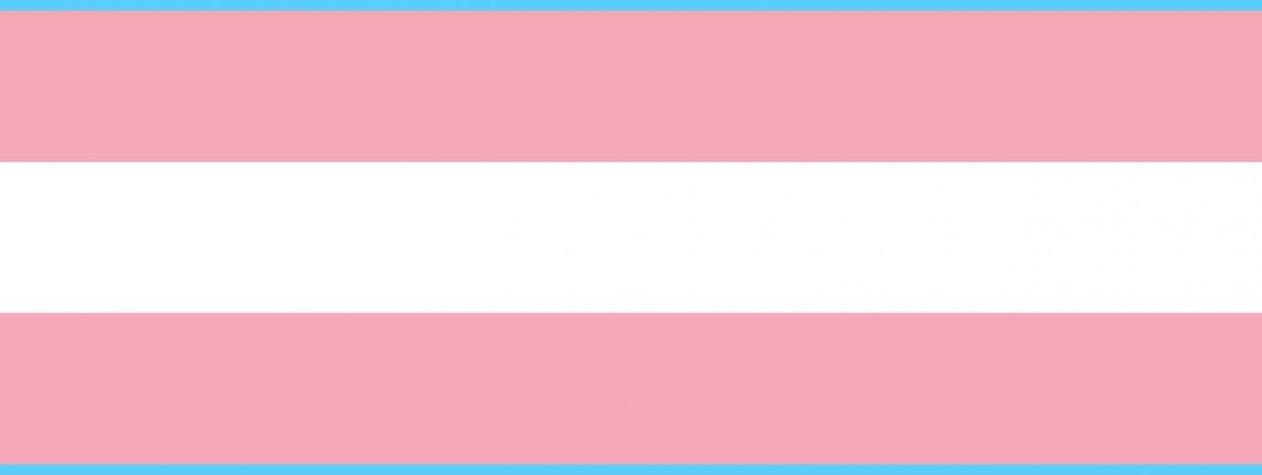 QueerEvents.ca Listing - Trans March Event Banner