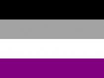 QueerEvents.ca - Queer Flags - Asexual Flag Image